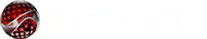 CI Web Group Digital Marketing Agency